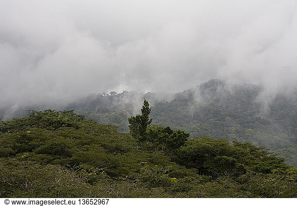 Cloudy Soberania National Forest mountain top  Gamboa  Panama.