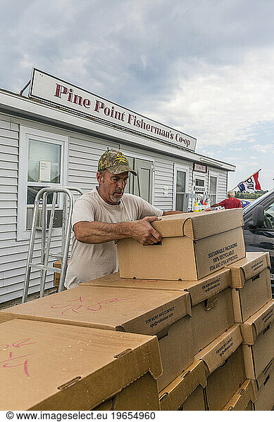 Co-op employee Jeff Germano loads lobsters onto a truck at the Pine Point Fisherman's Co-op in Scarborough  Maine.