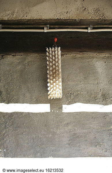 Coarse shrubbing brush on house wall