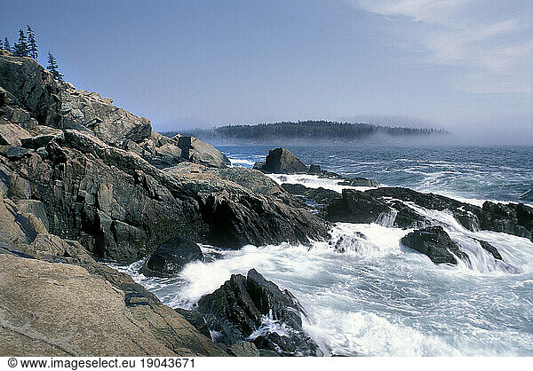 Coastal landscape of Acadia National Park  Maine.