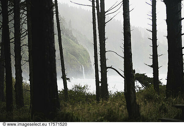 Coastal waterfall along Oregon shoreline