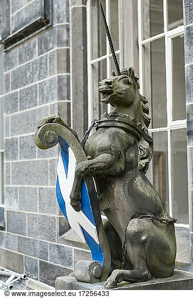 Coat of arms of Scotland and heraldic animal  heraldic animal  the Scottish unicorn  University and King's College of Aberdeen  University and King's Collage  Aberdeen  Scotland  Great Britain