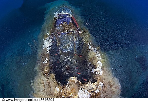 Cockpit  american fighter plane P47 Thunderbolt wreck from the 2nd World War  underwater photo  Corsica  France  Europe