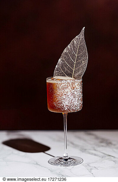 Cocktail in Martini glass with decorative ice leaf