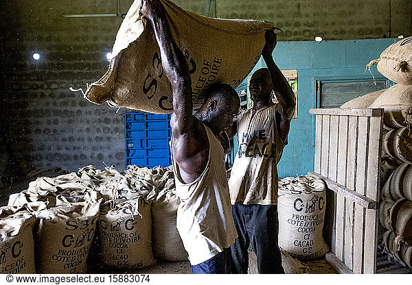 Cocoa workers loading a bag in Agboville  Ivory Coast.