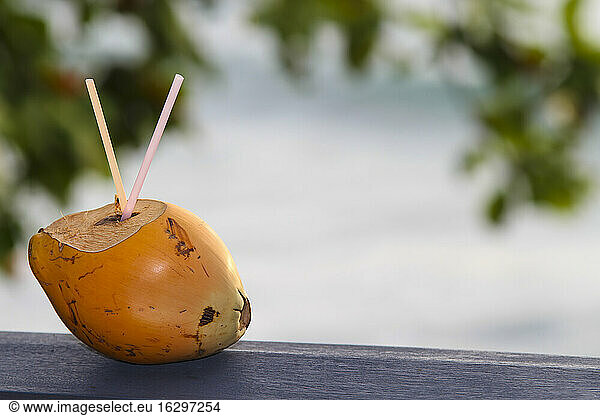 Coconut drink at beach