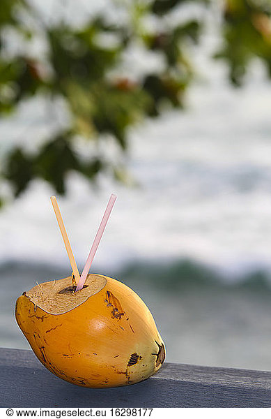 Coconut drink at beach