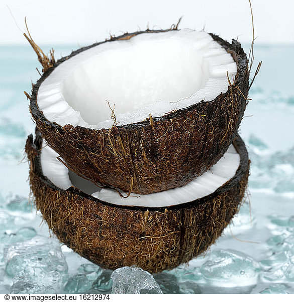 Coconut halves on crushed ice  close-up