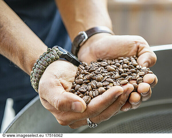 coffee roaster is checking freshly roasted coffee beans in Bangkok