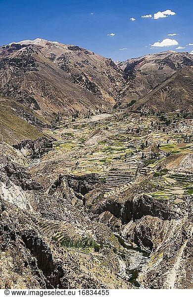 Colca Canyon farmland and terraces  Peru