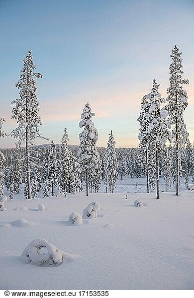 Cold snow covered icy winter landscape at sunset inside the Arctic Circle in Lapland in Finland
