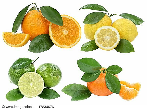Collage orange lemon tangerine fruit cropped isolated against a white background
