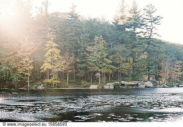 Color film photo of a pond in fall in New England.