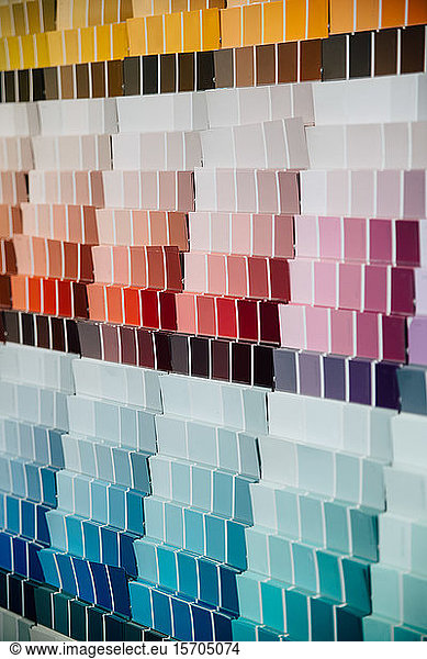 Color swatches on wall in hardware store
