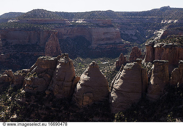 Colorado National Monument on a sunny day in SW Colorado.