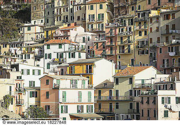 Colored houses from cinque terre