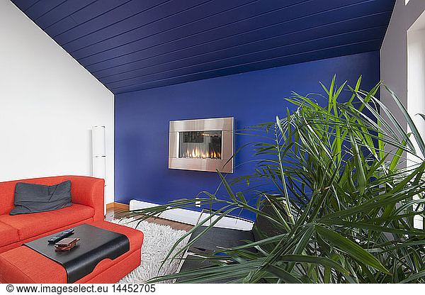 Colorful and Contemporary Living Room
