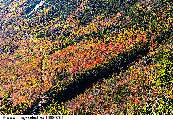 Colorful autumn trees in the White Mountains of New Hampshire.
