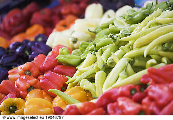 Colorful bell peppers at the Farmers Market  The Ferry Plaza  San Francisco  CA.