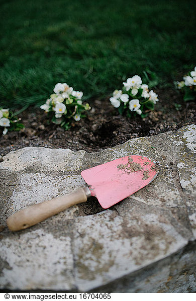 Colorful dirty spatula in the garden