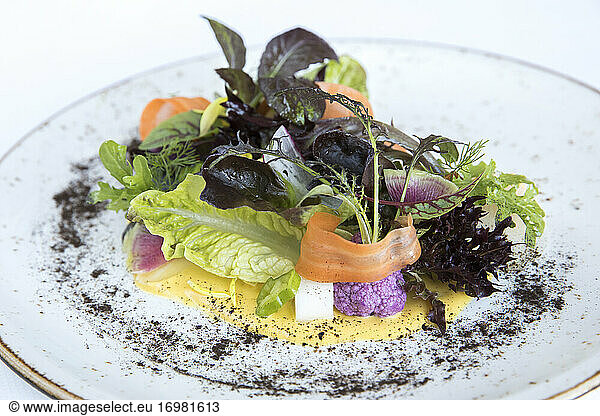 Colorful gourmet salad with mixed greens,  carrot,  purple cauliflower
