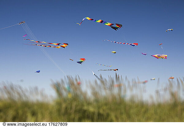 Colorful kites flying at a kite festival.