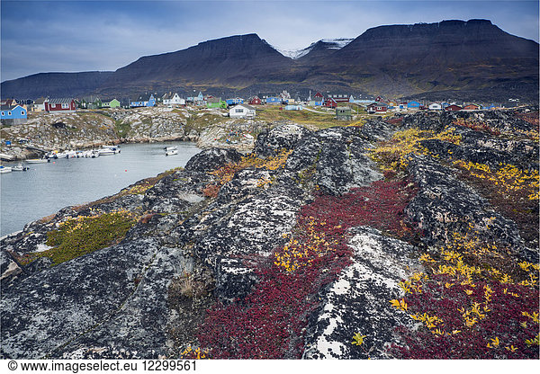 Colorful rocks along remote fishing village  Disko Island  Greenland