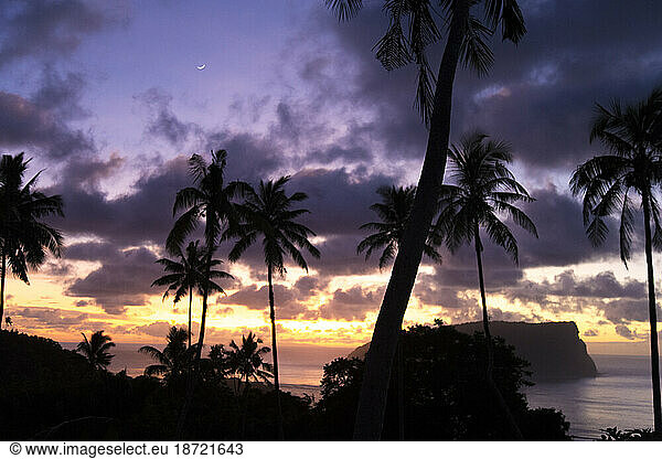 Colorful sunrise and silhouette of palm trees at beach in Samoa.