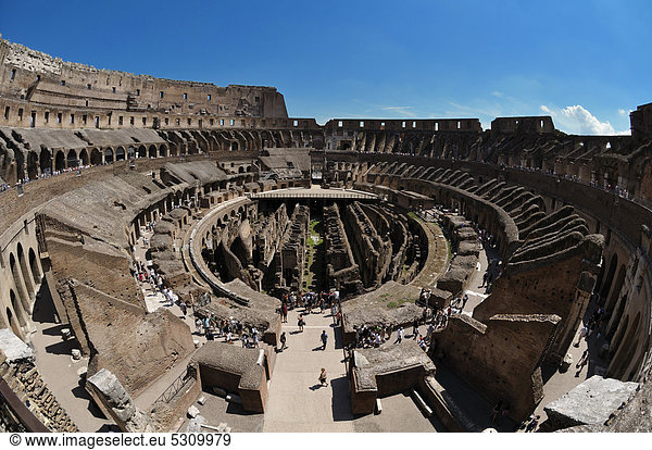Coloseum oder Kolosseum  Rom  Latium  Italien  Europa