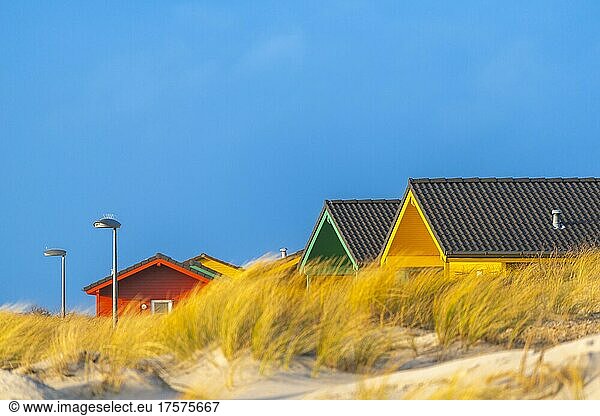 Colourful bungalow holiday homes  wooden houses  blue sky  dune  Helgoland high sea island  Pinneberg district  Schleswig-Holstein  Germany  Europe