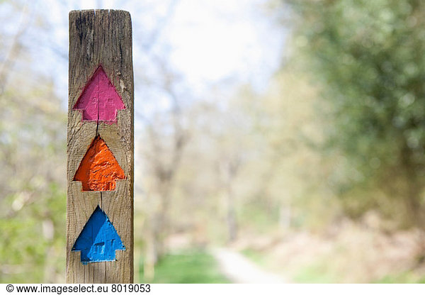 Colourful direction arrows in forest