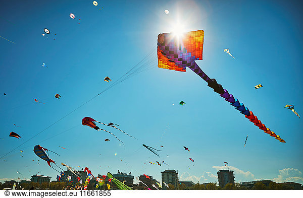 Colourful kites flying in blue sky  Rimini  italy