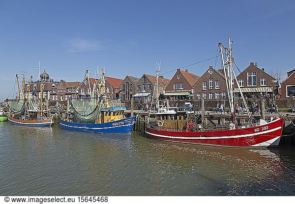 Colourful shrimp boats in the fishing port  Neuharlingersiel  East Frisia  Niedersachsen  Germany  Europe
