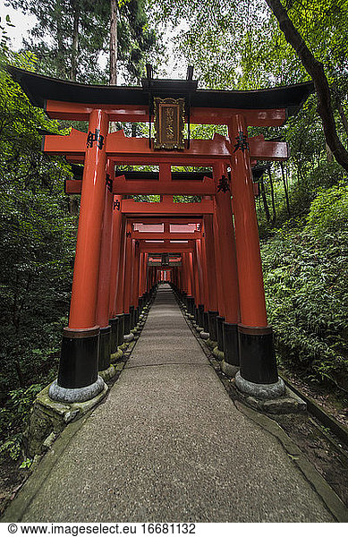 Columns at the iconic Fushimi Inari Shrine