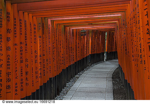 Columns at the iconic Fushimi Inari Shrine
