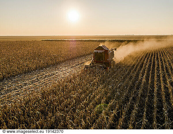 Combine harvester harvesting corns in farm st sunset