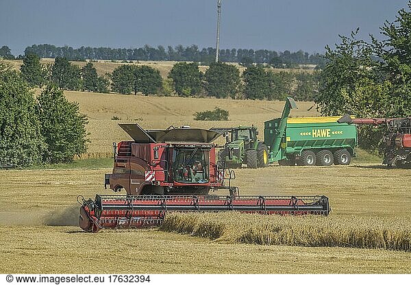 Combine harvester  wheat harvest  Isseroda  Thuringia  Germany  Europe