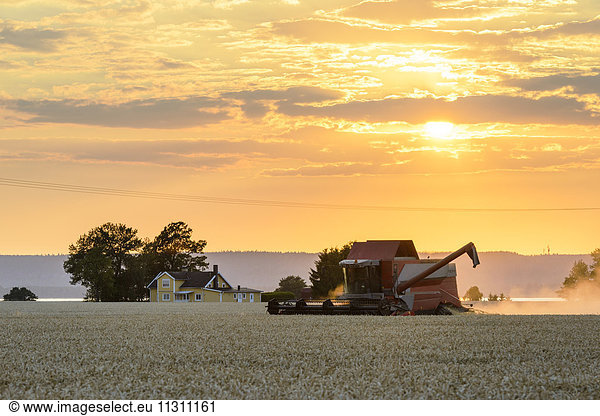 Combine harvester working in field