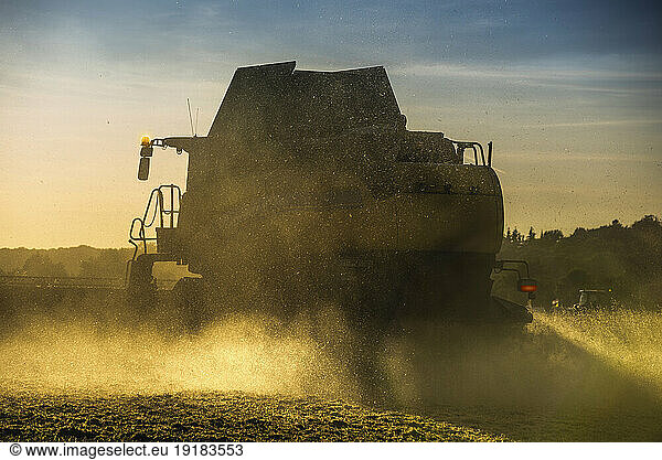 Combine harvester working in wheat field in the evening