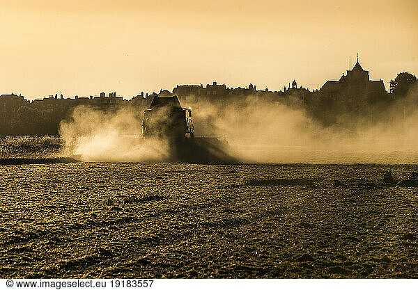 Combine harvester working in wheat field in the evening