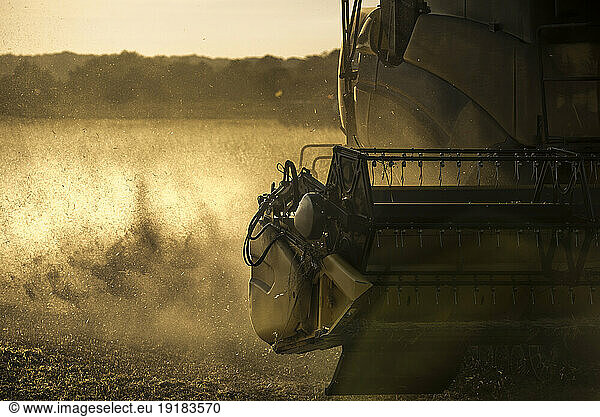 Combine harvester working in wheat field in the evening