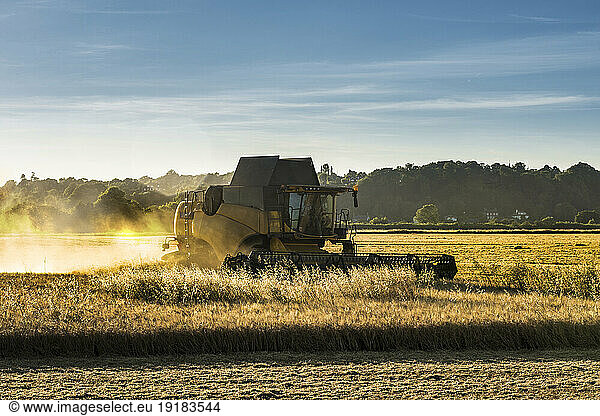 Combine harvester working in wheat field on a sunny day