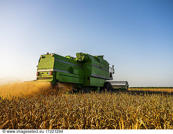 Combine harvesting field of wheat