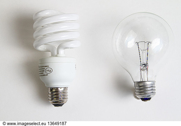Compact fluorescent (energy-saving) and incandescent light bulbs.