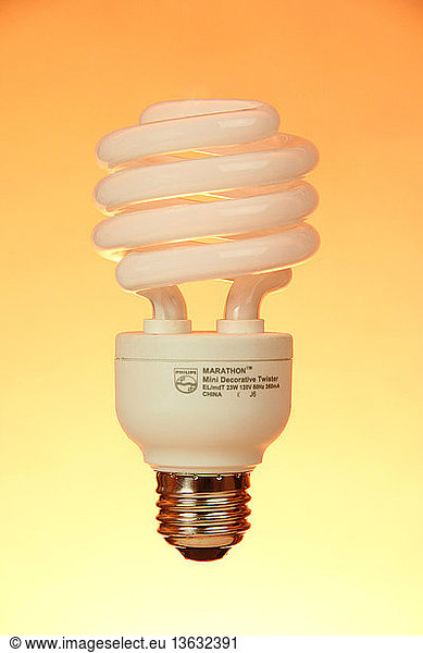 Compact fluorescent (energy-saving) light. These use less power and have a longer rated life than traditional incandescent bulbs.