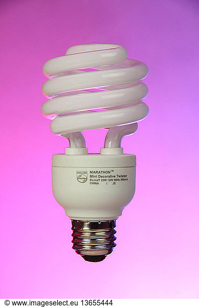 Compact fluorescent (energy-saving) light. These use less power and have a longer rated life than traditional incandescent bulbs.