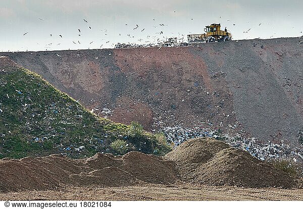 Compaction machines working on council rubbish tip  near Ellesmere  Cheshire  England  United Kingdom  Europe