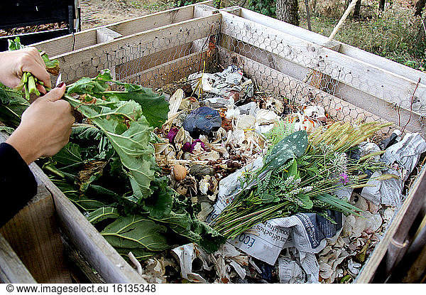 Compost in pallet  recycling