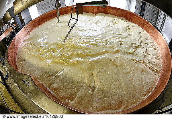 Comté cheese making  milk tank  Cheese factory  Damprichard  Doubs  France