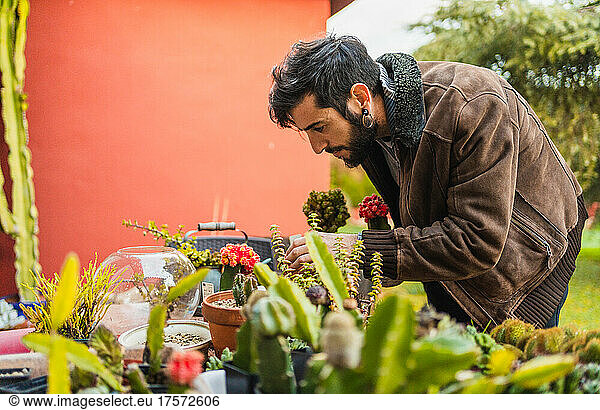 concentrated gardener checking the condition and growth of plants